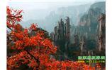 春節(jié)期間：張家界、天子山、金鞭溪自駕車精華精品游
