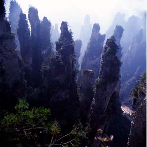 【純玩拼團線路】下午班：鳳凰古城、張家界、天子山三晚四日游