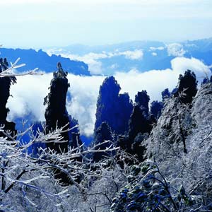 LD線：張家界、天子山、楊家界、猛洞河漂流純玩四日游