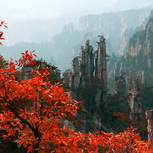 休閑自駕E線：張家界、袁家界、天子山、寶峰湖、鳳凰古城、沱江泛舟四晚五日游