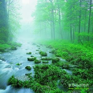 【純玩散拼尊享系列3】張家界、天子山、袁家界、黃龍洞、鳳凰三晚四日游