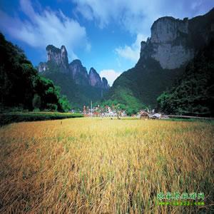 張家界往返純玩散拼：矮寨大橋、德夯苗寨、鳳凰古城、芙蓉鎮(zhèn)二日游